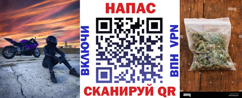 Где можно купить наркотики Нововоронеж Гашиш Кокаин Alpha PVP Конопля Меф