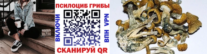Псилоцибиновые грибы мухоморы  цены   Нововоронеж 