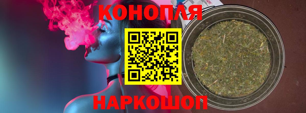 Каннабис сатива Нововоронеж